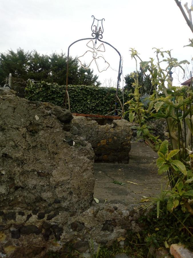 Casa Vacanze Da Rosy Ercolano Bagian luar foto